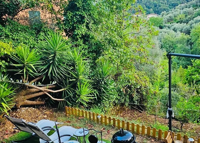 Casa Olive 53 Monte Σπίτι διακοπών *