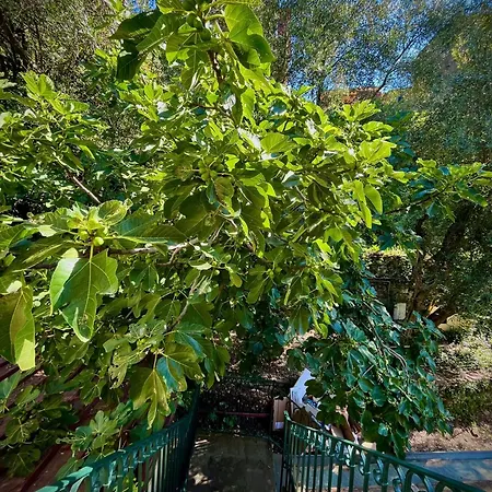 Дом отдыха Casa Olive 53 Monte