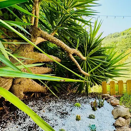 Casa Olive 53 Monte Дом отдыха