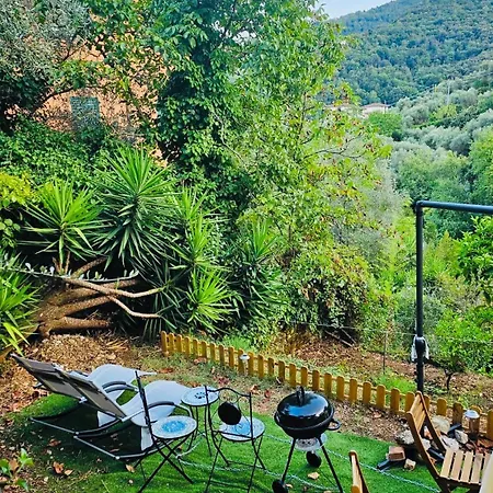 Casa Olive 53 Monte Дом отдыха *