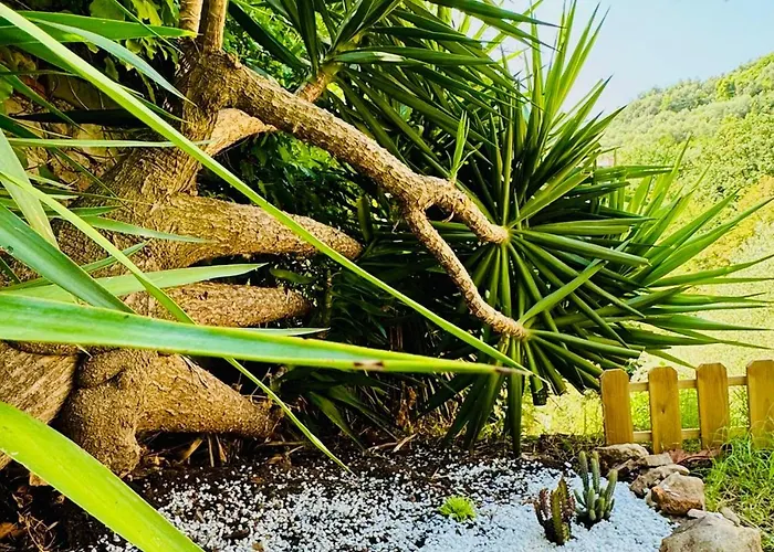 Casa Olive 53 Monte Σπίτι διακοπών